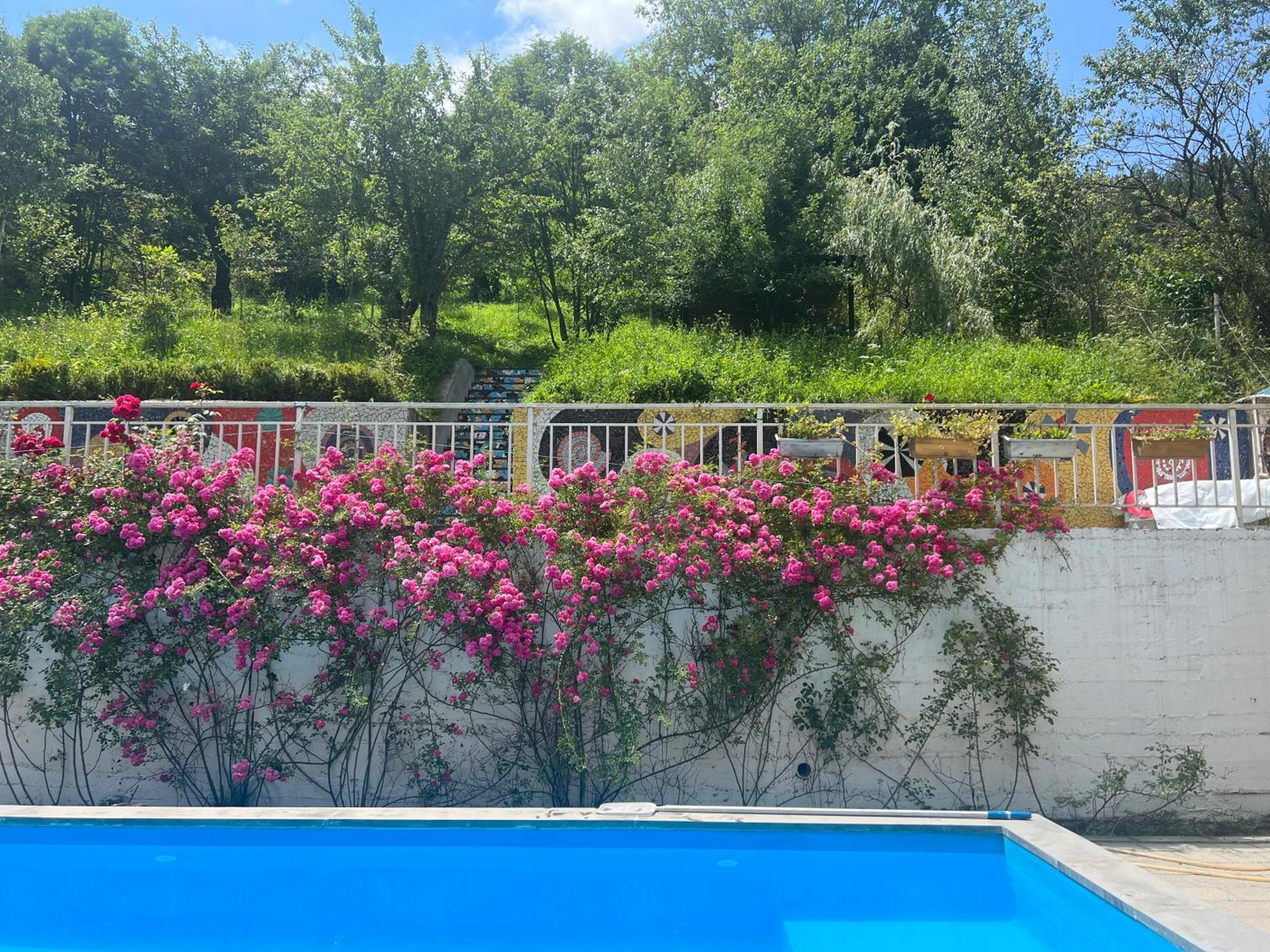 Dilijan Duplex Villa Bagian luar foto