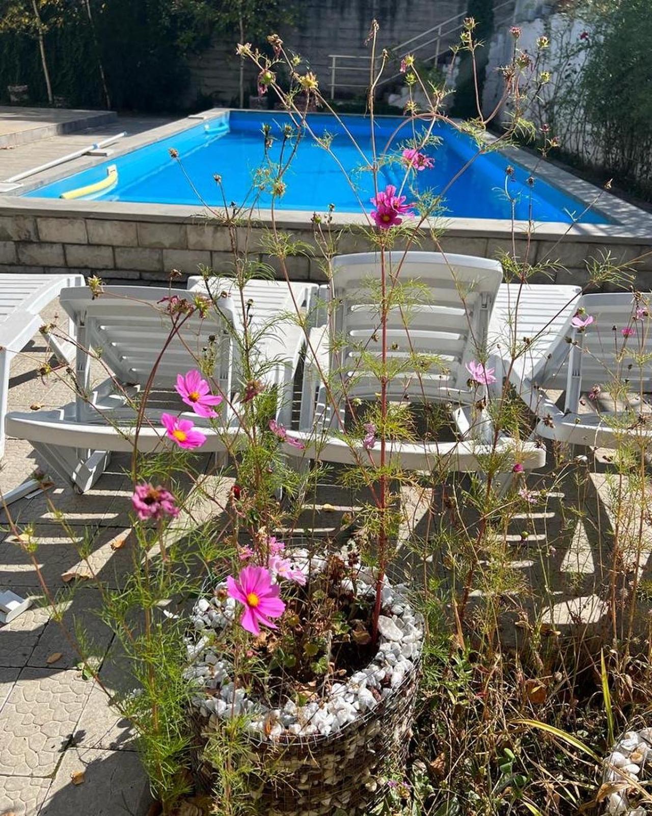 Dilijan Duplex Villa Bagian luar foto