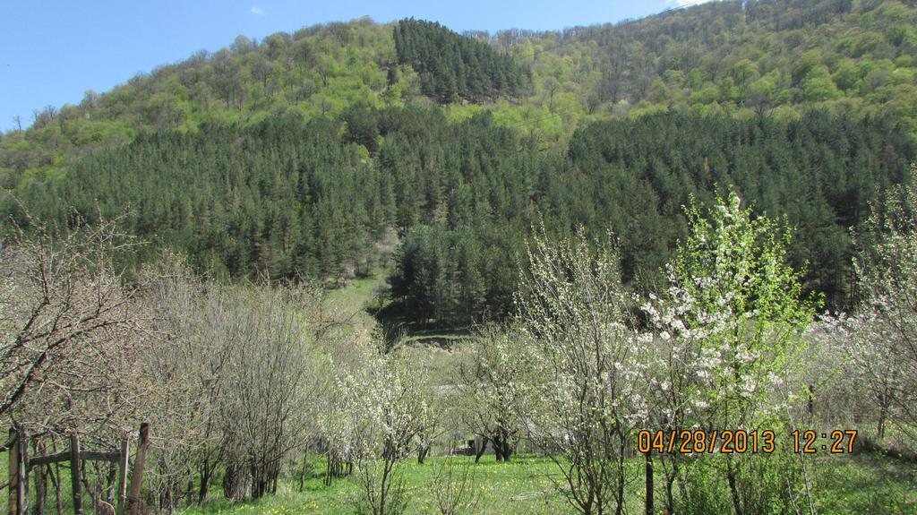 Dilijan Duplex Villa Bagian luar foto