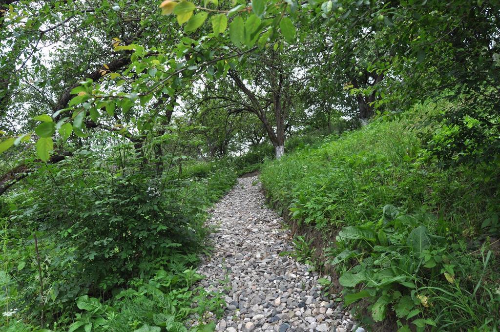 Dilijan Duplex Villa Bagian luar foto